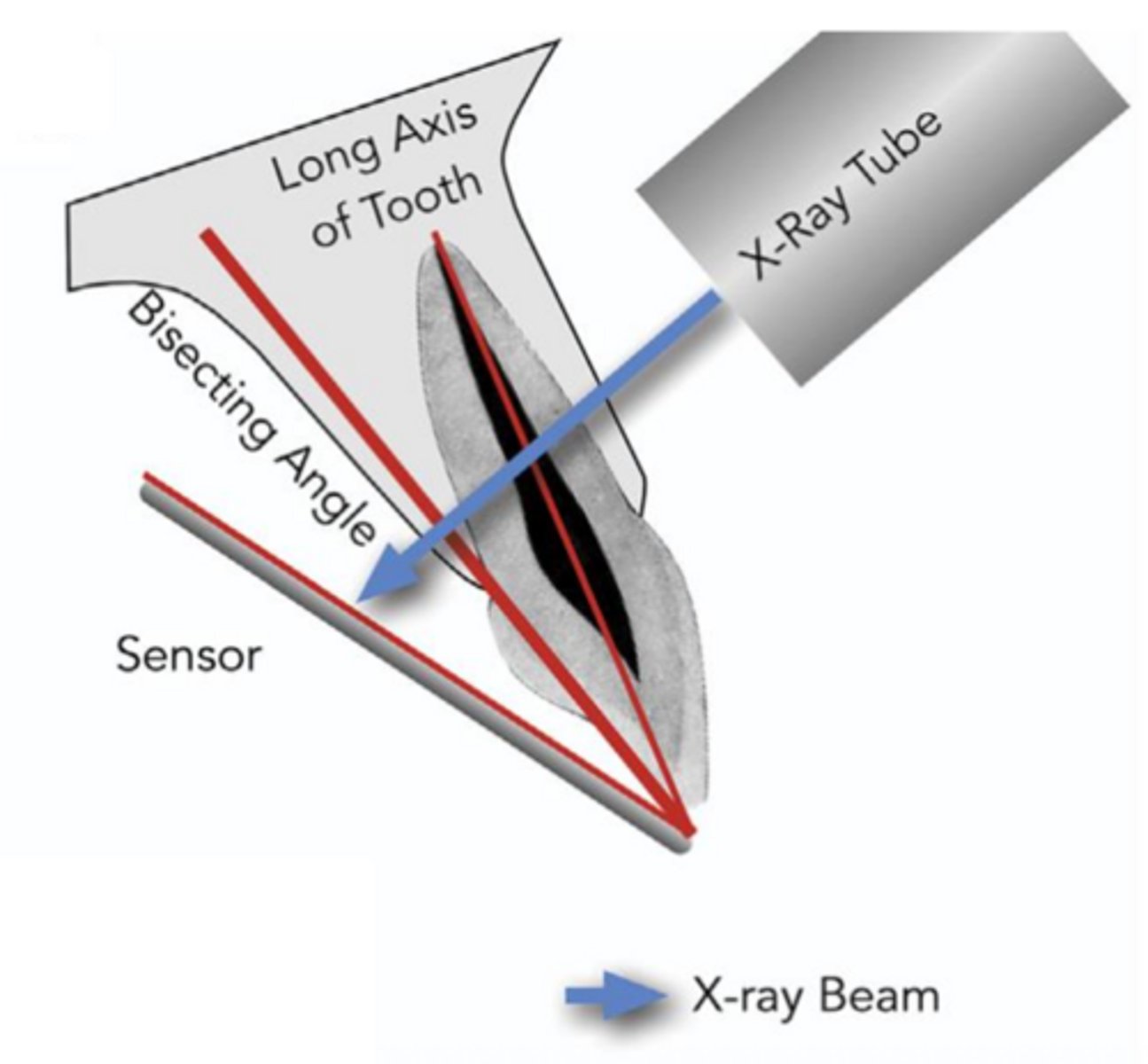 <p>ID the sensor technique:</p>