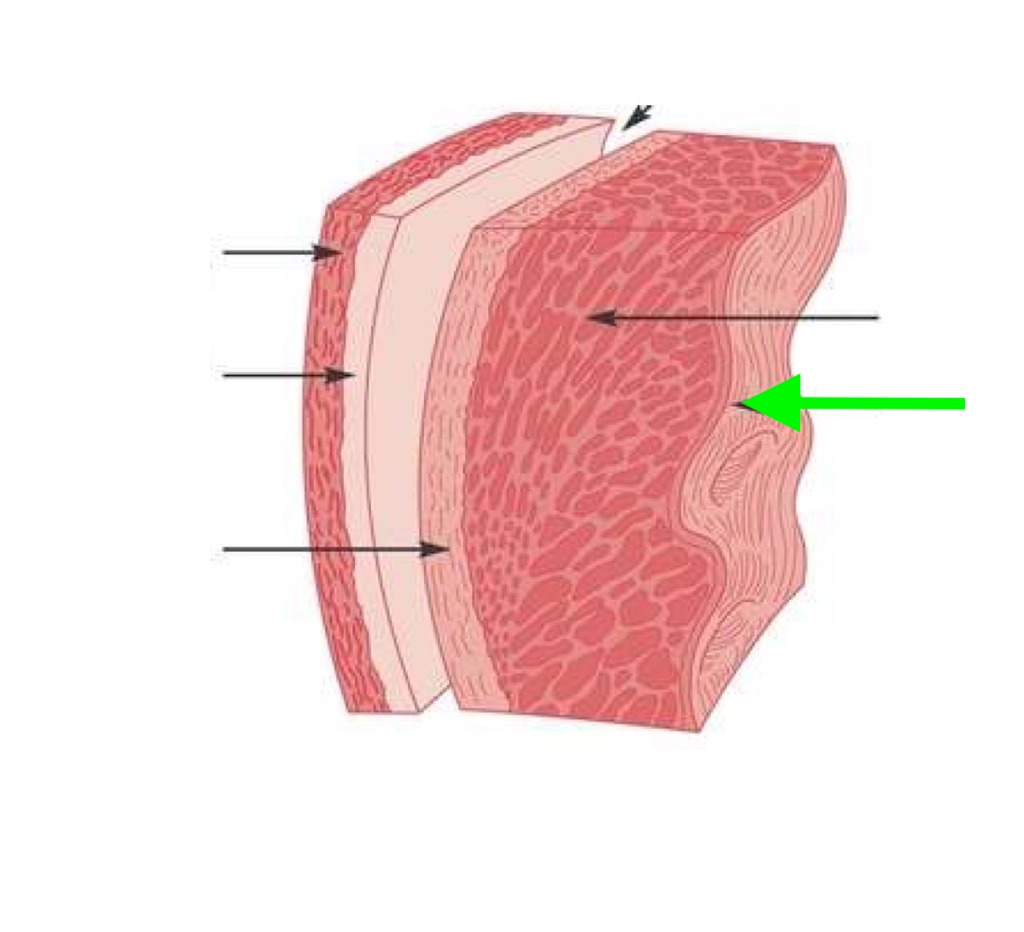 <p>what is this?</p>