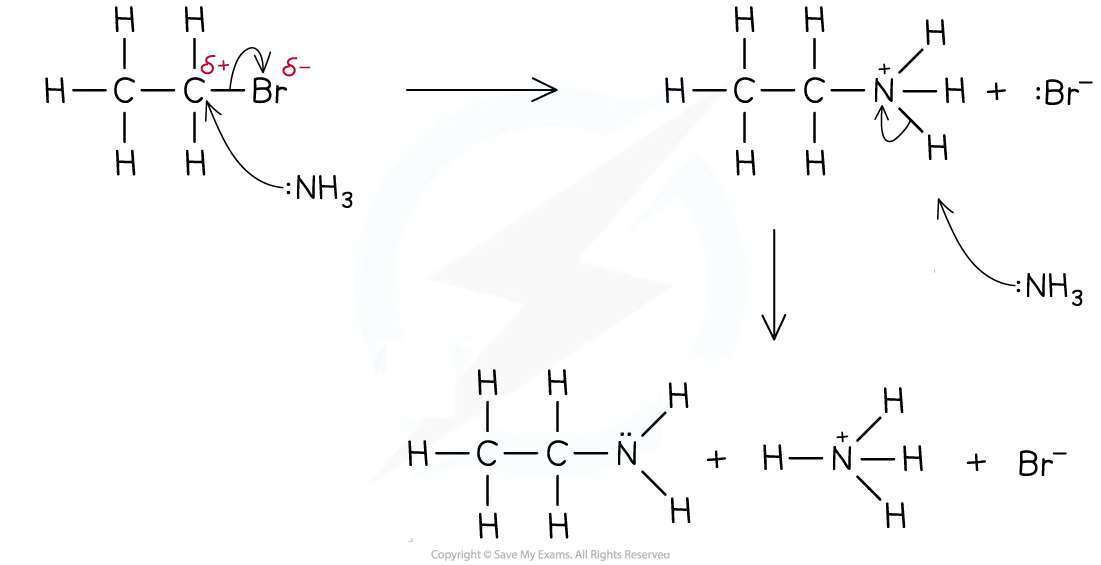 <p>Halogenoalkanes with cyanide ions - Forms a nitrile and a halogen ion, the main compound also now has an extra carbon atom.</p><p>Halogenoalkanes with hydroxide ions - Forms a alcohol and a halogen ion</p><p>Halogenoalkanes with Ammonia - Forms an amine, a halogen ion and a Ammonia ions (NH<sub>4</sub><sup>+</sup>)</p><p>Ammonia does not have a negative charge so it is a neutral nucleophile. This means that a positive ion will be left on the main compound so a proton must be lost by reacting with a second ammonia molecule forming NH<sub>4</sub><sup>+</sup> (See Image:)</p>
