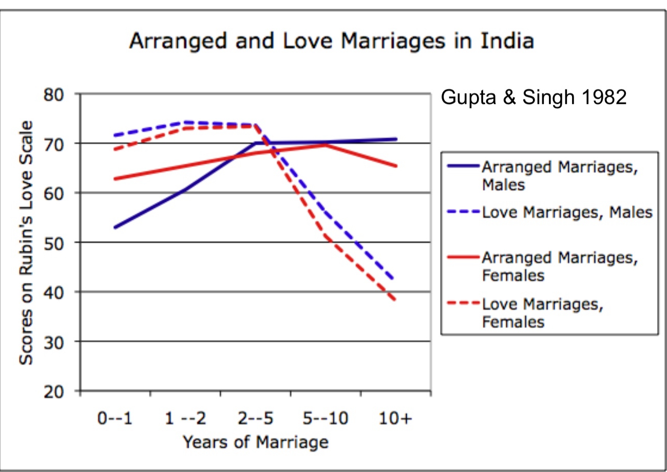 <p>most end up becoming loving relationships even if they start out without love</p><ul><li><p>studies show they are at lease as happy as love marriages </p></li></ul>