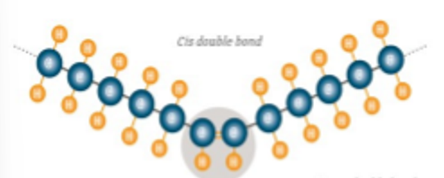 <p>naturally occurring, bent, liquid (bc cant stack). type of unsaturated fat</p>