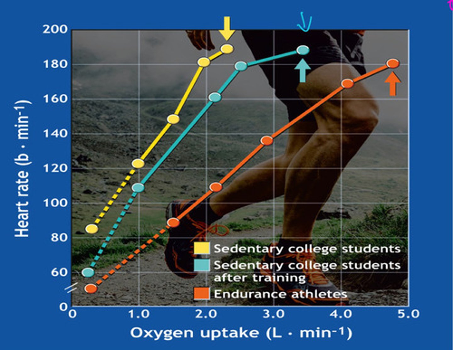 <p>what is this graph showing</p>