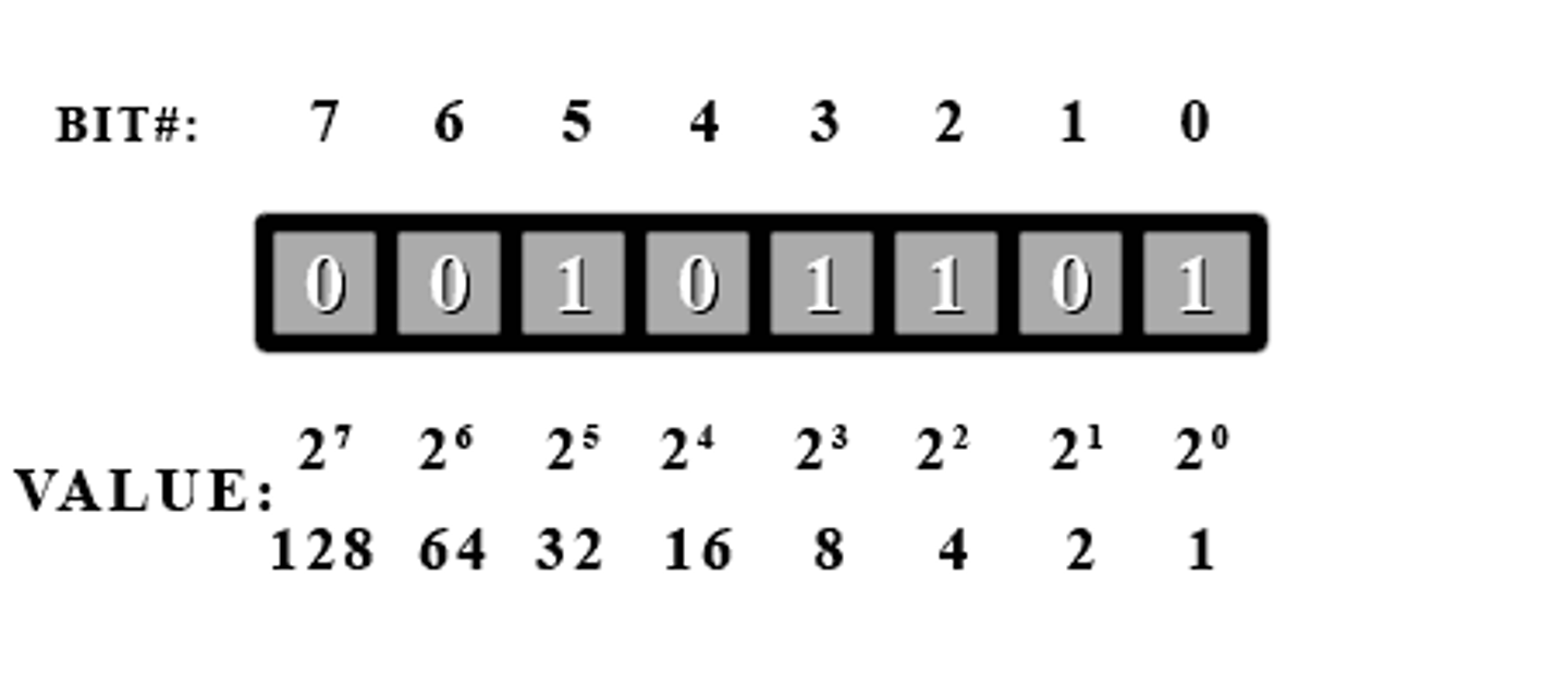 <p>Base 2 number system which can be read by computers</p>