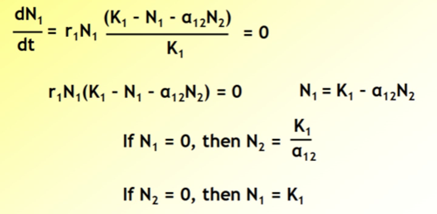<p>no change in population size</p>