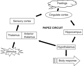 <p>control memory and emotions </p>