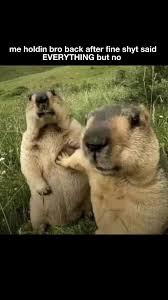 <p>Prevents expression of excision gene, maintaining the lysogenic (latent) stage; binds to the operator that controls phage expression</p>