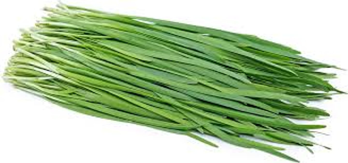 <p>smells like garlic; flat leaves; aggressive</p>
