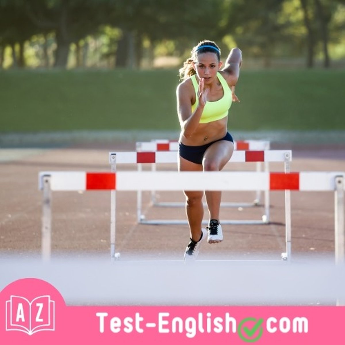 <p>Serena had to overcome many _____ before finally achieving her goal.</p>