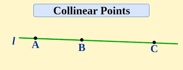 <p>The points that lie on the same straight line or in a single line</p>