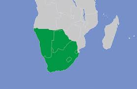 <p>Southern Africa</p>