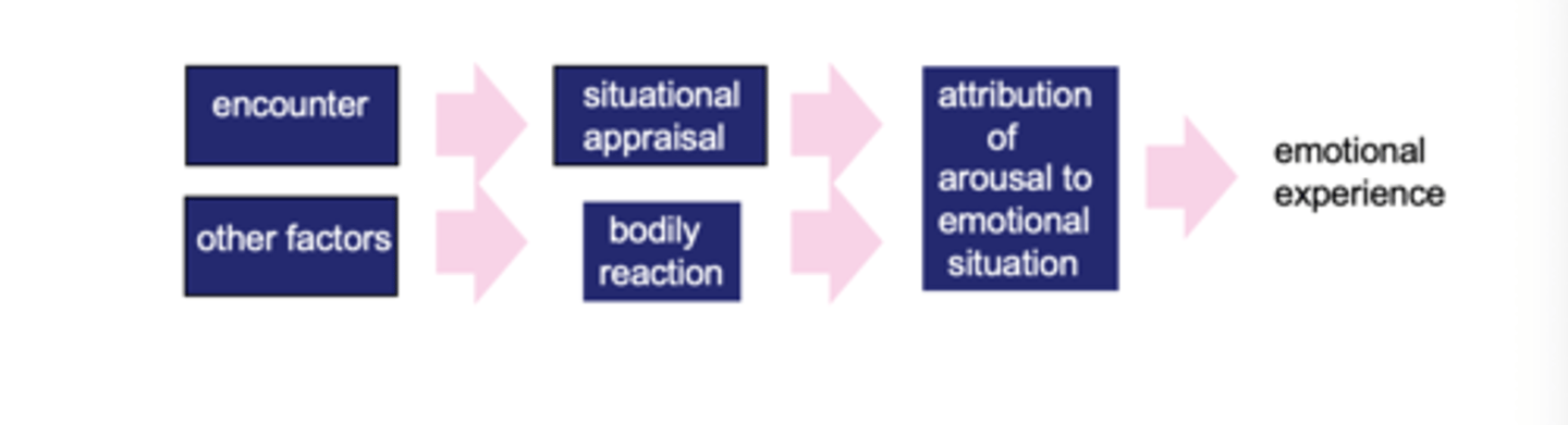 <p>Emotion arises from physiological arousal and its interpretation based on situational cues.Said to feel an emotion you need both physcial arousal (heart race) and cognitive label ..</p><p>i.e. emotion depends on how the arousal is interpreted by the person experiencing it. Combines Lange and Canon-Bard's theories.</p><p>Drawback: Doesn't account for other sources of emotionally relevant info which can affect eg. facial expression or feedback from emotional action.</p>