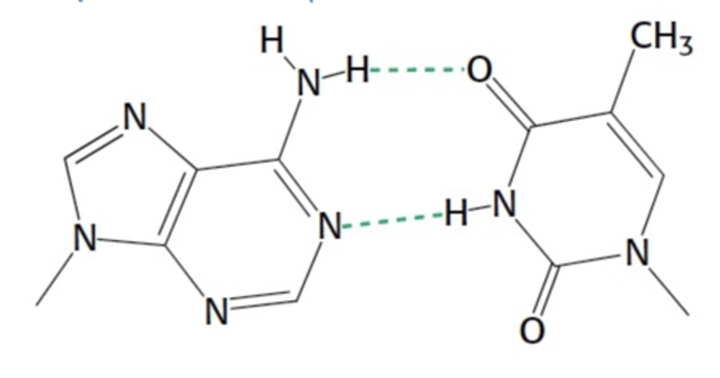 <p>What is shown below</p>