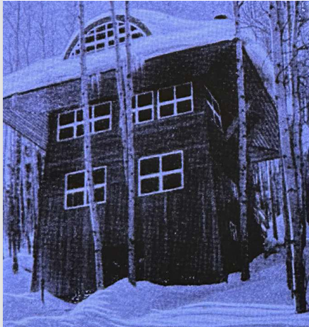 term image