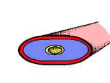 <p>don’t have a coelom</p>