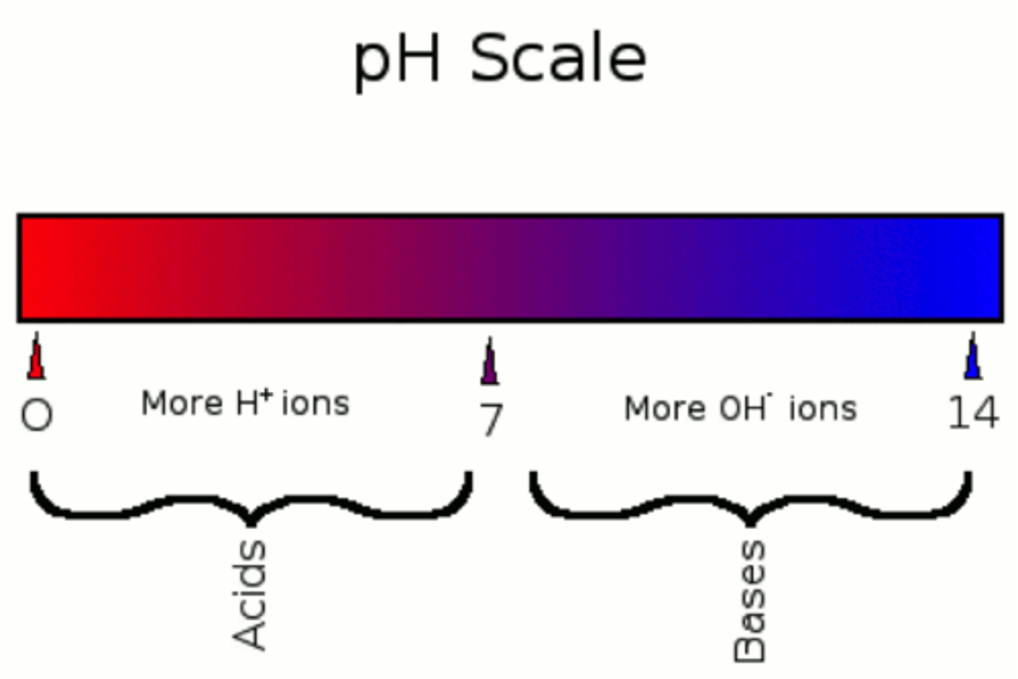 <p>equal. This is why water's pH is 7 (neutral)</p>