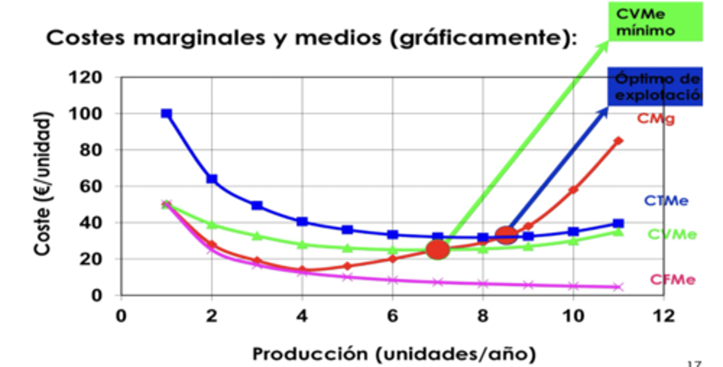 <p>decrecientes</p>