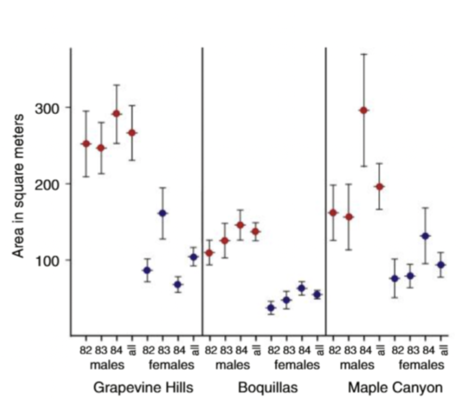 <p>Describe this figure</p>