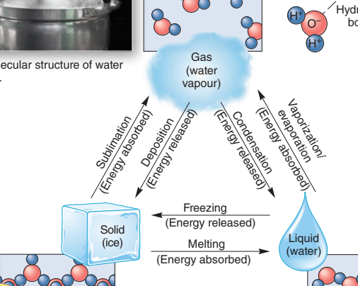 - liquid to vapour (vaporization)
- vapour to liquid (condensation)

- liquid to solid (freezing)
- solid to liquid (melting)

- solid to vapour (sublimation)
- vapour to solid (deposition)