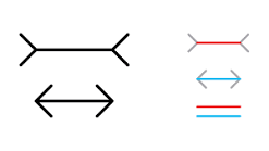 <p>optical illusion in which two lines of the same length appear to be of different lengths</p>