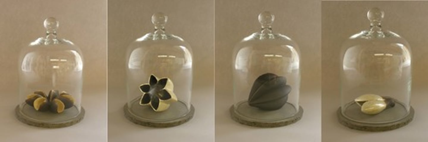 <p>include, comprise</p><p>포함하다</p>