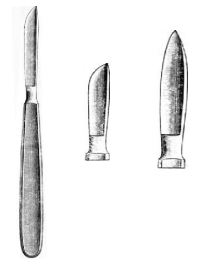 term image