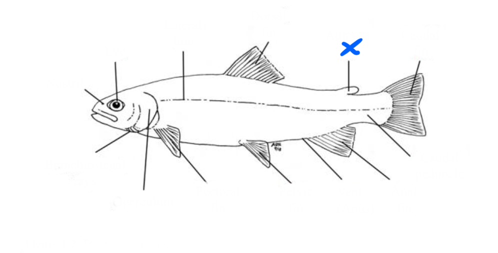 <p>What is this?</p>