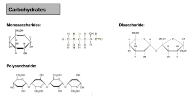 <p>Contains: Carbon, Hydrogen, and Oxygen. Defining feature: It contains equal amounts of Carbon and Oxygen. Typically has rings or chains of rings.</p><p>Monomer: Monosaccharide</p>