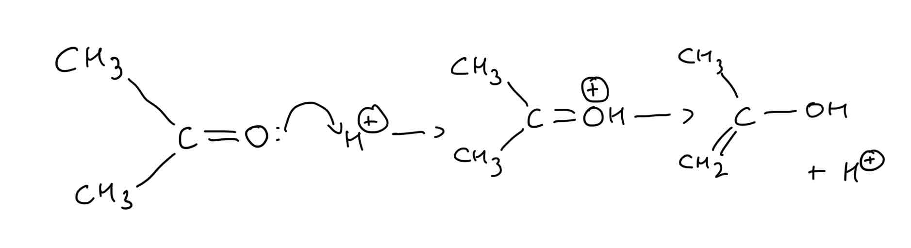 <ul><li><p>Another example which shows that it is not possible to deduce the rate equation from the balanced equation for the reaction</p></li></ul><p>I2 (aq) + CH3COCH3 (aq) = CH2ICOCH3 (aq) + H+ (aq) + I- (aq)</p><ul><li><p>Exps show that the reaction is first order with respect to propanone and first order with respect to H+ ions but zero order with respect to iodine. The iodine conc does not affect the rate of reaction. This shows that iodine is not involved in the rds of the reaction mechanism</p></li><li><p>I.e. rate = k[CH3COCH3][H+]</p></li><li><p>In the presence of H+ ions propanone molecules react to form an intermediate species with a double bond and an OH group and ‘enol’</p></li><li><p>Intermediate formed than reacts with iodine </p></li></ul>