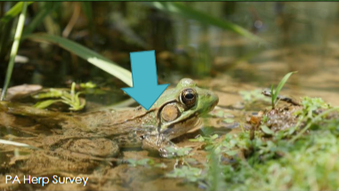 <p>What is this?</p>