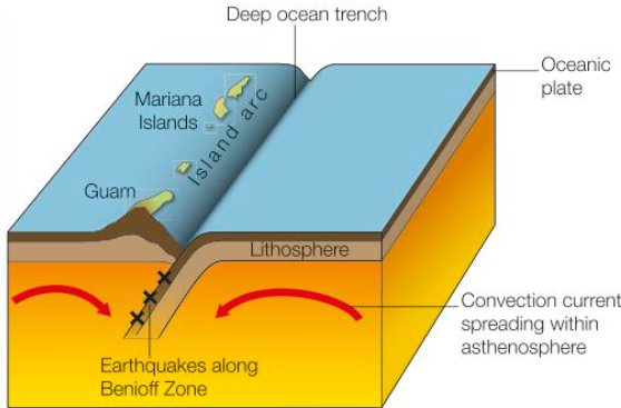 <ul><li><p>When 2 oceanic plates collide, the faster/denser plate subducts underneath the other.</p></li><li><p>This leads to the formation of a deep ocean trench.</p></li><li><p>The rising magma from the Benioff Zone forms crescents of submarine volcanoes along the plate margins which grow to form island arcs e.g., The Mariana Islands.</p></li></ul><p></p>