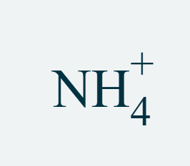 <p>NH<sub>4</sub><sup>+</sup></p>