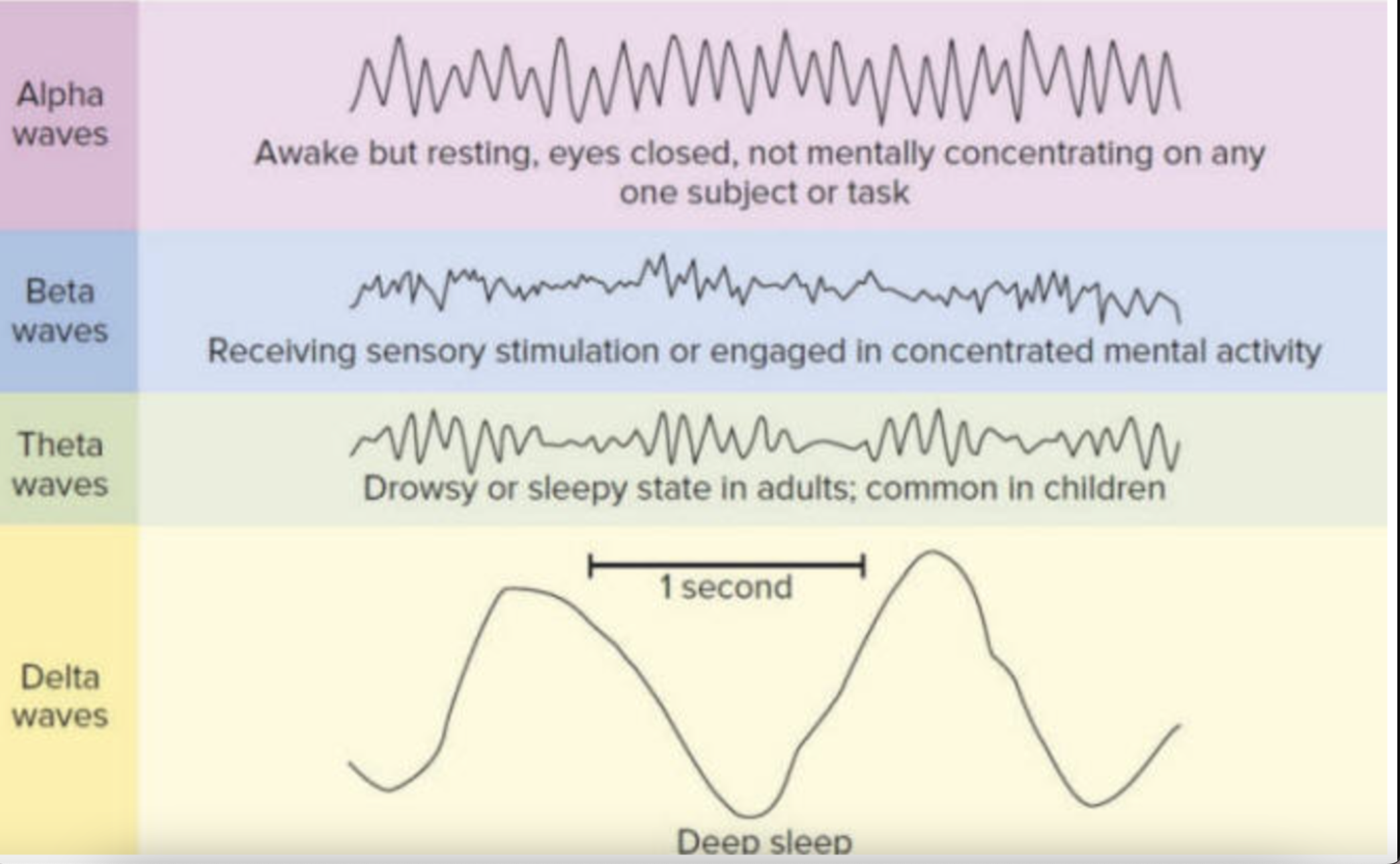 <p>more regular and spaced out, really drowsy - light sleep, tossing and turning - K complexes and spindles</p><p>stage 1+2</p>