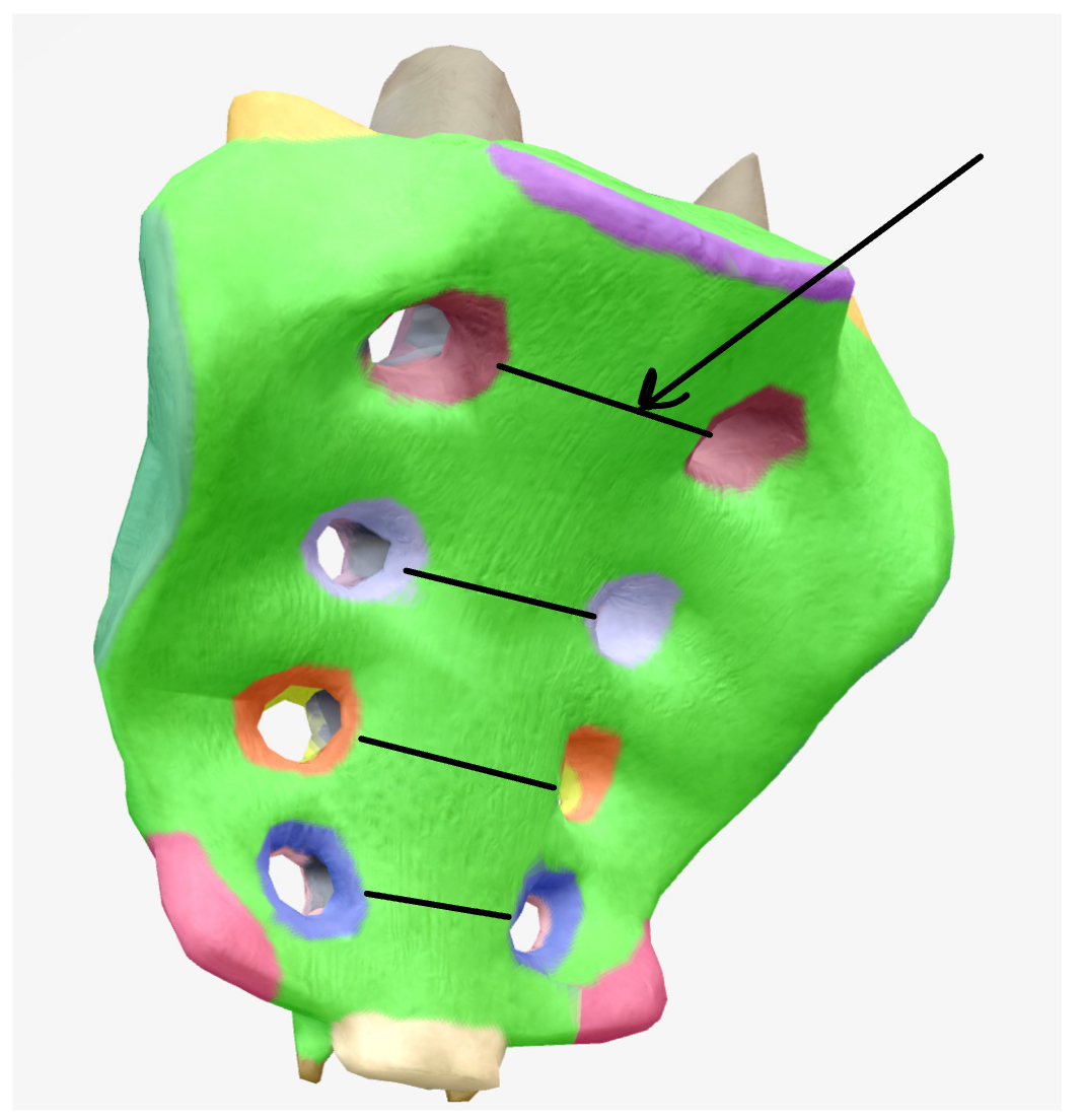 <p>What are these lines?</p>