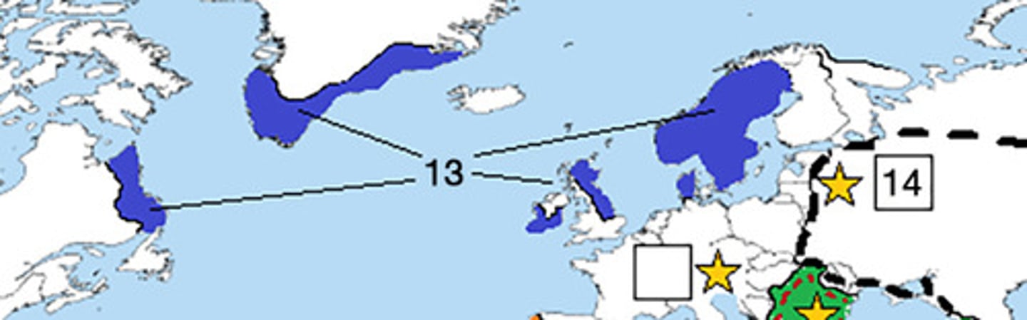 <p>DEFINITION</p><p>Map Location #13; Group who controlled/influenced these regions through raids, exploration and settlement</p>
