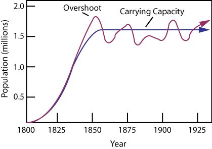 <p>Carrying Capacity</p>