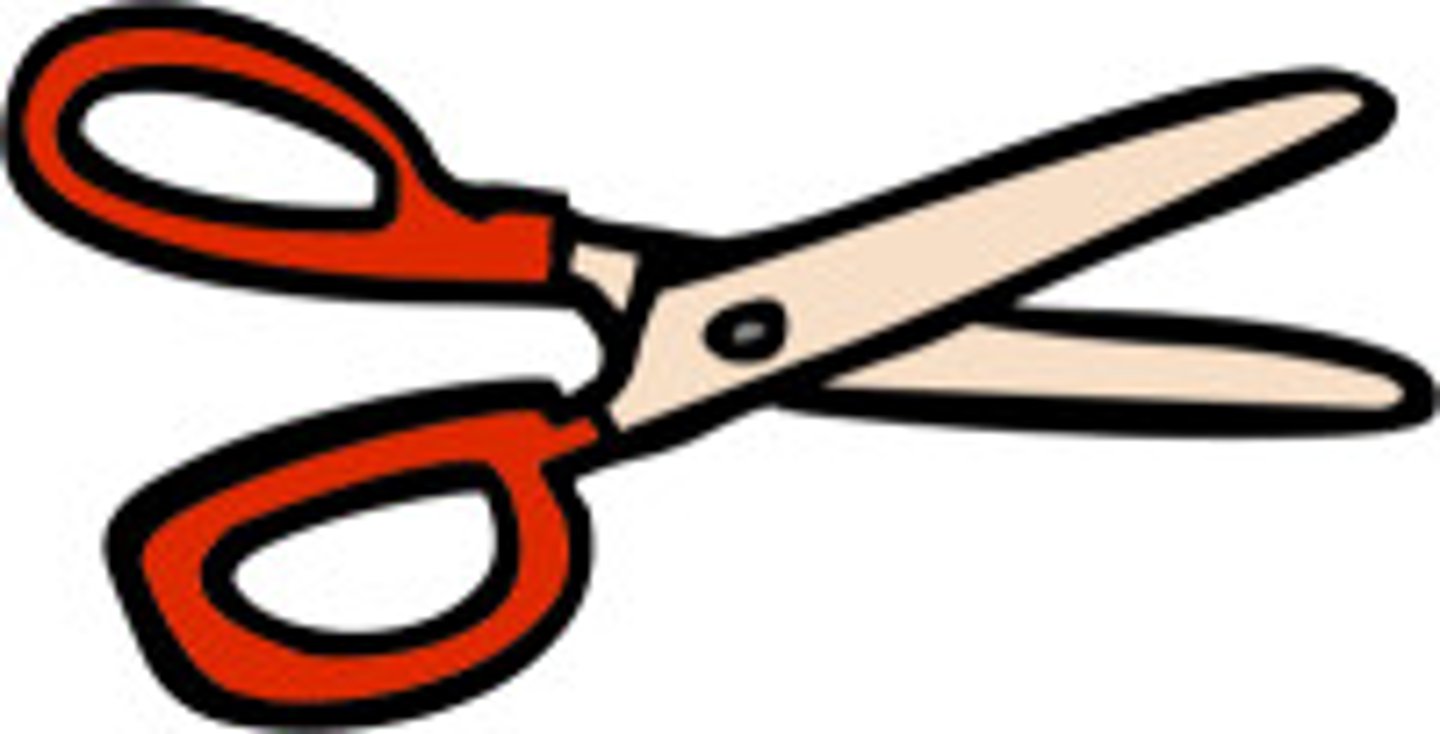 <p>scissors</p>