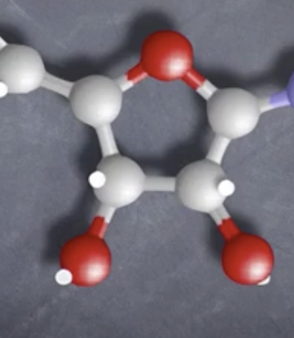 <p>What is this called?-DNA question.</p>