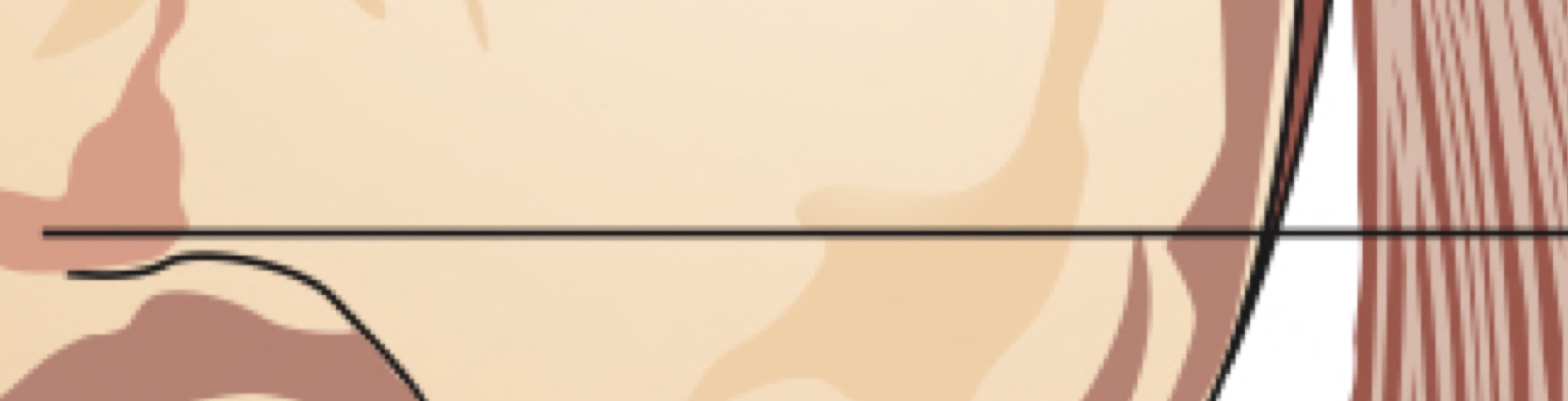 flank
