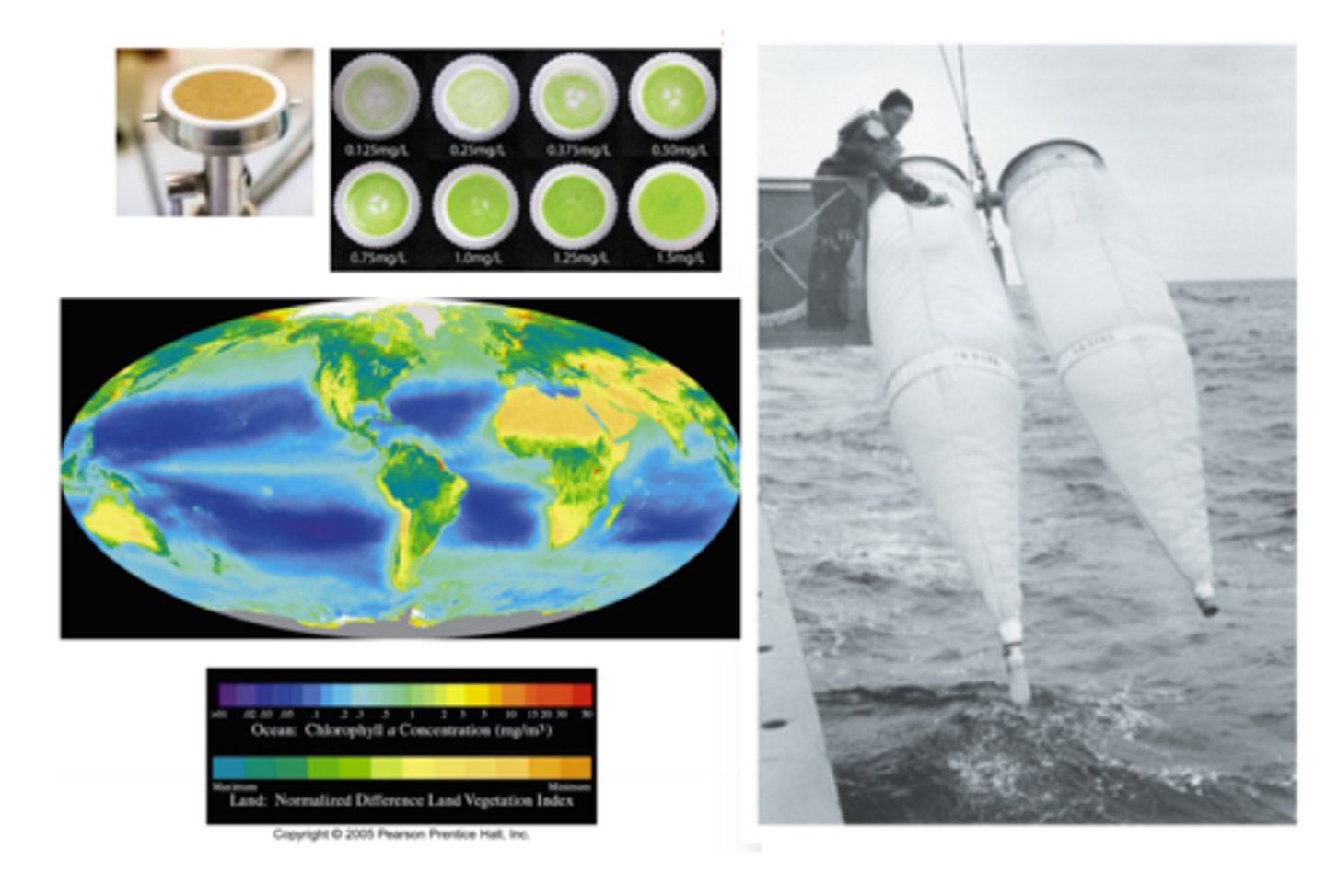 <p>- Plankton Nets:</p><p>- Most direct measurement method</p><p>- Plankton nets are towed behind boats at various depths to strain water and collect plankton</p><p>- The amounts and types of organisms collect by the nets are analyzed</p><p>- The amount of biomass collected by the nets is used to measure the amount of primary productivity</p><p>- Chlorophyll measurements:</p><p>- Measures primary producitivty by meausring the amount of chlorophyll produced</p><p>- Seawater is collected by a pump or niskin bottle then filtered to monitor how much green photosynthetic pigment is present per volume of seawater</p><p>- The amount fo green is associated with productivity, greener --> more productive</p><p>- In situ sensors can also be used to measure chlorophyll</p><p>- In situ sensors pump water through the device while a light is shined through it, and some of the chlorophyll will floresce</p><p>- The more florescent light --> more chlorophyll</p><p>- Satellites:</p><p>- Satellites can measure ocean color (chlorophyll green) as a proxy for phytoplankton biomass (productivity)</p><p>- When light hits the land or ocean surface, different types of chlorophyll absorb different types of light (?)</p><p>- The satellite can figure out how much light is absorbed by the chlorophyll, and the more light abosrbed, the more chlorophyll there is</p><p>- The SeaWiFS (sea viewing Wide Fiwld-of-view Sensor) radiometer aboard the SeaStar satellite once provided ocean color from 1997-2010, but we now use MODIS satellite</p>