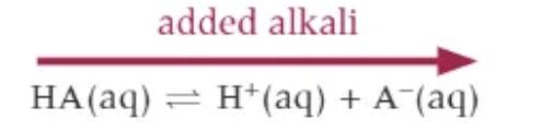 <p>On the addition of alkali, OH- (aq):</p><ol><li><p>[OH-(aq)] increases.</p></li><li><p>The small concentration of H+ (aq) ions reacts with the OH-(aq) ions:</p></li></ol><p>H+(aq) + OH-(aq) → H2O (l)</p><ol><li><p>HA dissociates, shifting the equilibrium position to the right to restore most of the H+ (aq) ions.</p></li></ol><p></p>