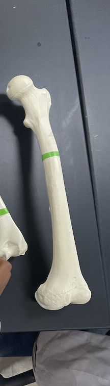 <p>Name BIG CIRCULAR part?</p>