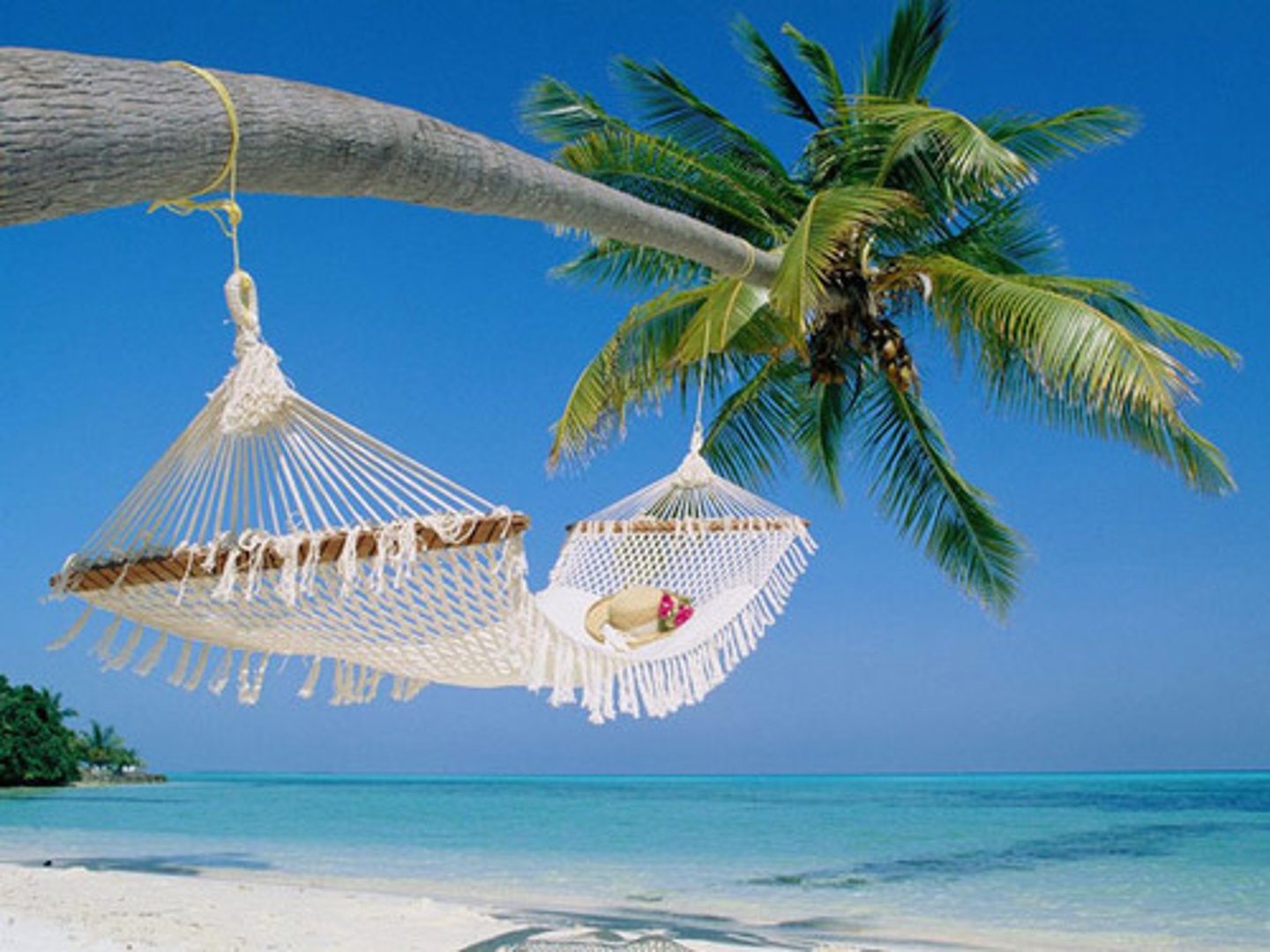 <p>relaxing</p>