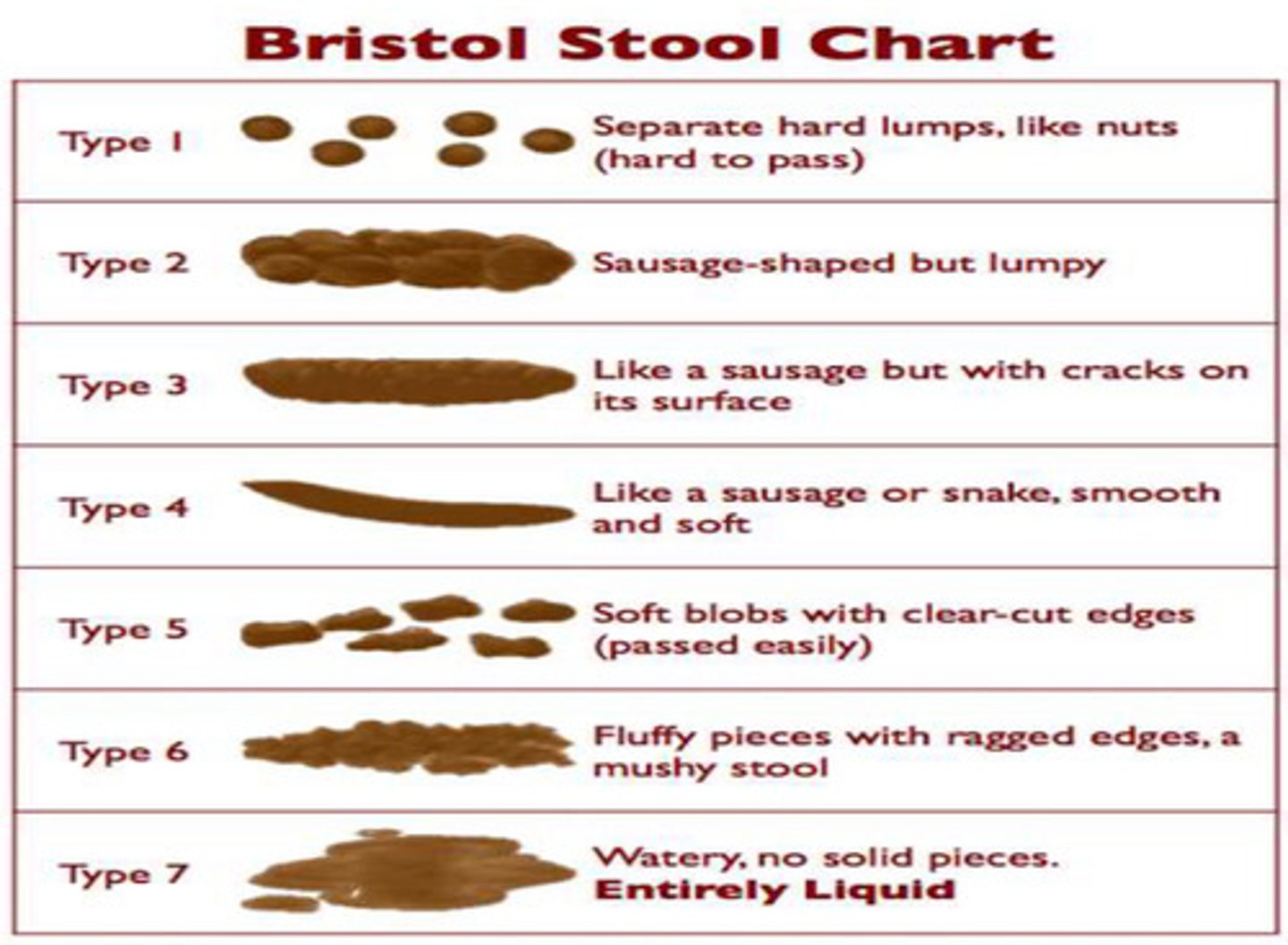 <p>a chart that characterizes different types of stool based on size shape and consistency</p><p>-Normal is Type 3 and Type 4!</p>
