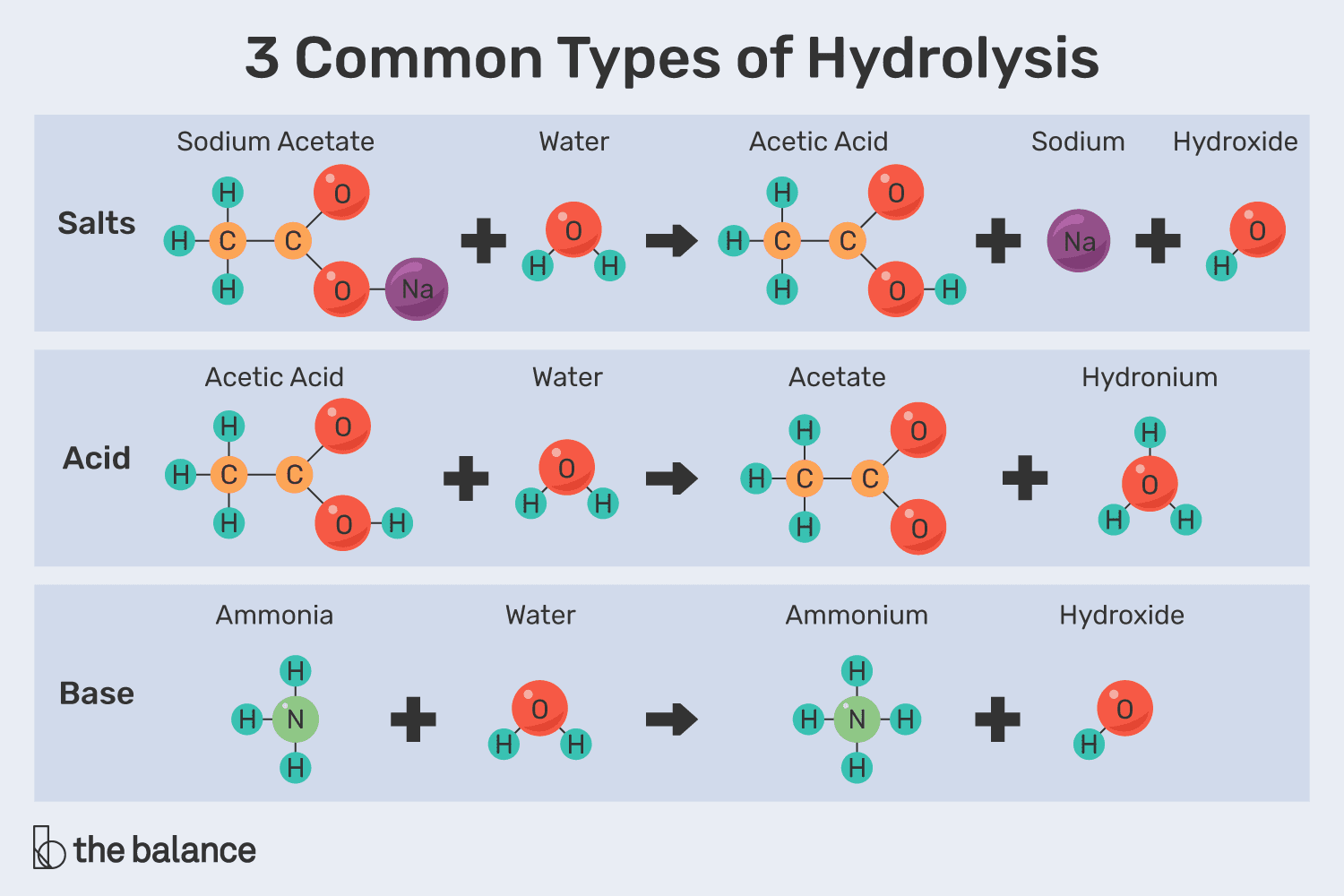 <p>Reaction that causes breakdown of larger molecules into smaller molecules by utilizing H2O</p>