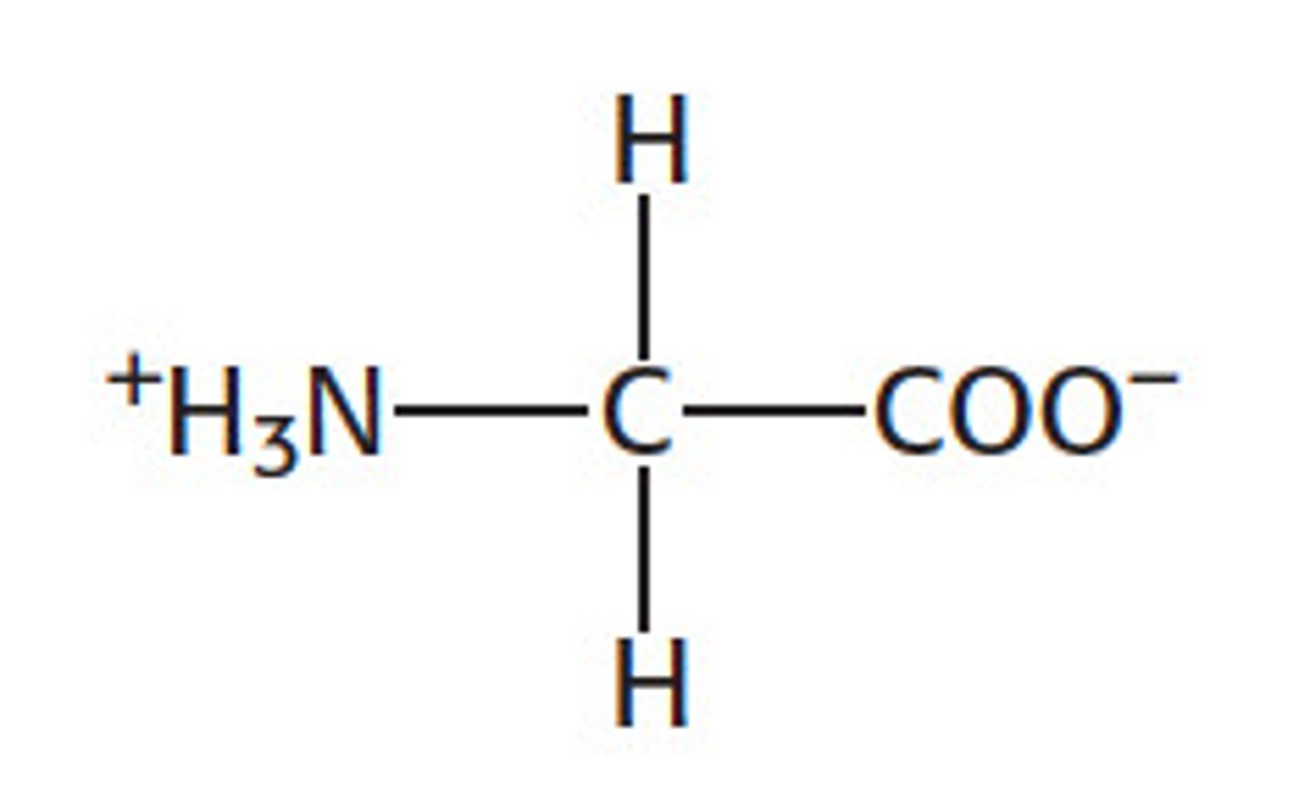 <p>nonpolar, hydrophobic</p><p>R group consists of H</p>