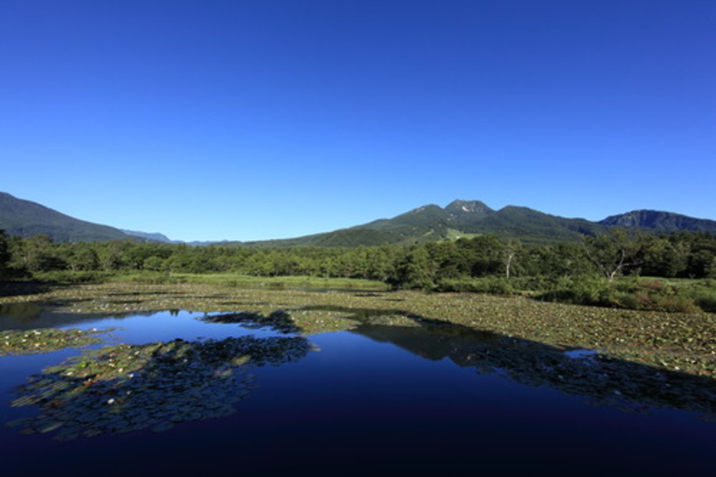 <p>pond</p>