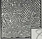 <p>What type of finger print is this?</p>