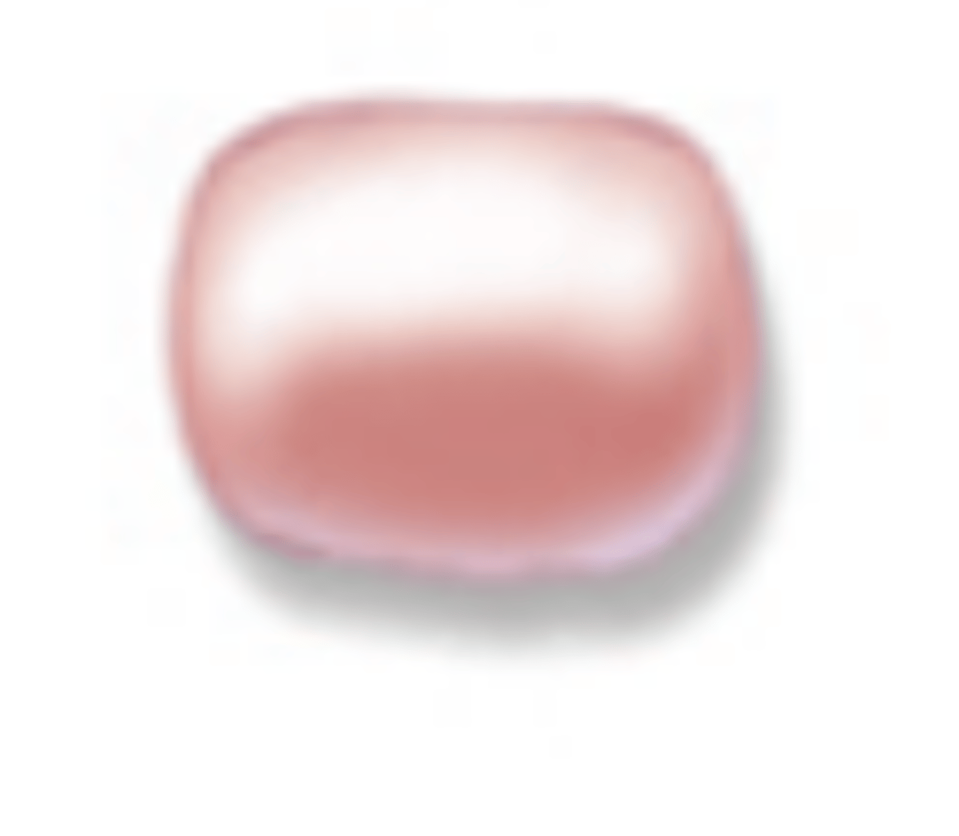<p>What is the morphology of the bacteria shown?</p>