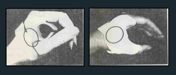 term image