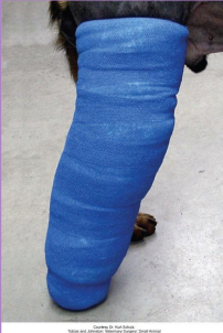 <p><span style="background-color: transparent;"><strong>External Coaptation</strong></span></p>